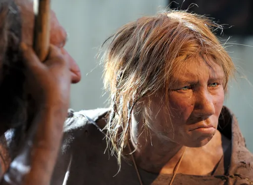 Реконструкция неандертальской женщины