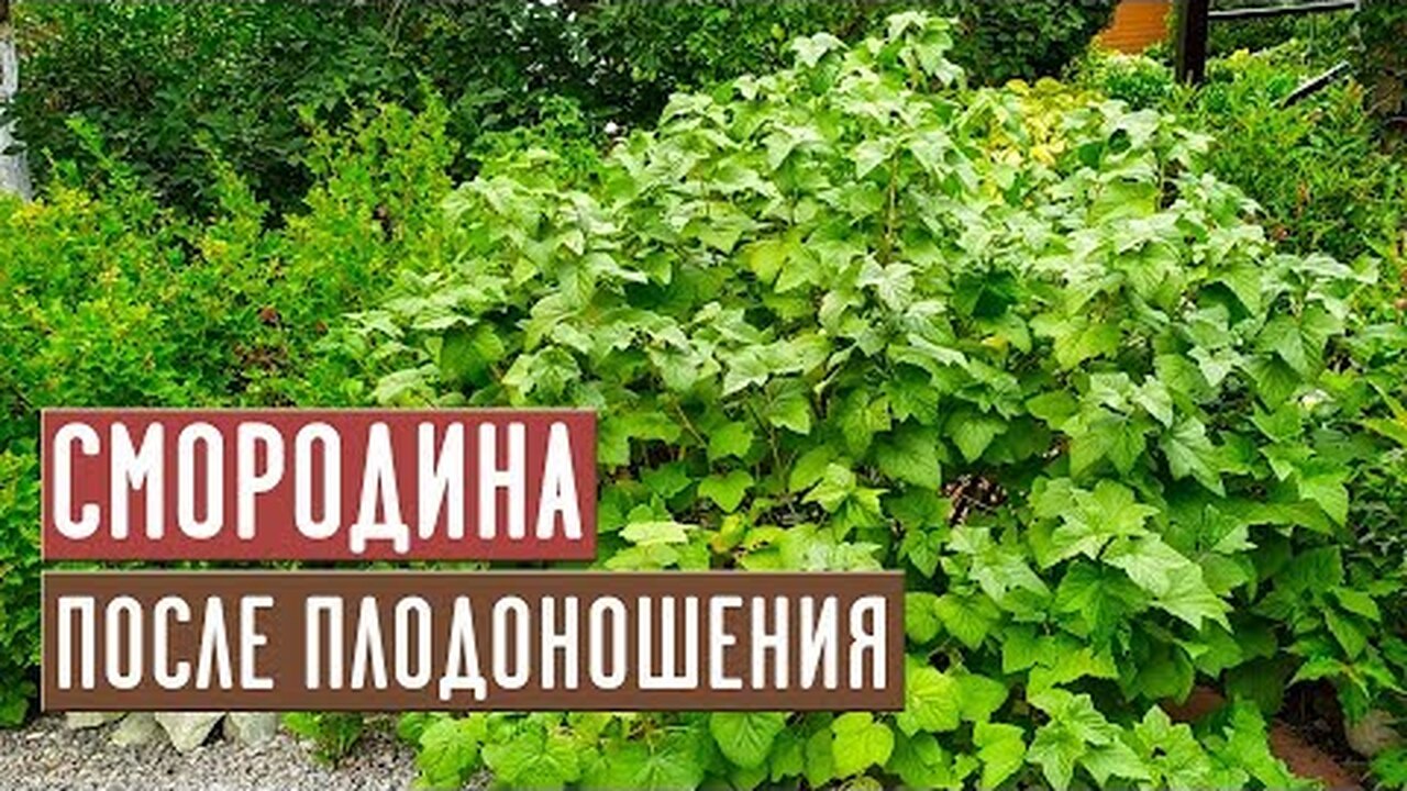 Klikněte a uvidíte