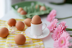 9 занимательных фактов о куриных яйцах, которые вас удивят