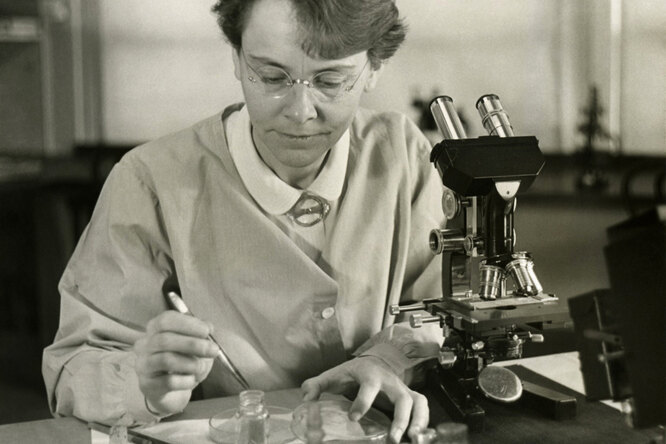 Барбара МакКлинток и Нобелевская премия: одна из создательниц медицины XXI века