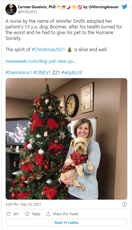 медсестра нашла собаку пациента