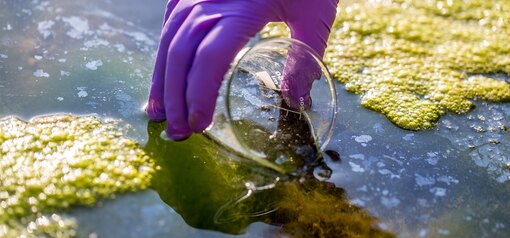 Полив клубники холодной водой какую воду использовать при поливе - из скважины колодца или под краном