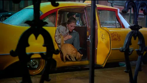 Жизнь и приключения Оранджи — рыжего кота из «Завтрака у Тиффани»: фото, история