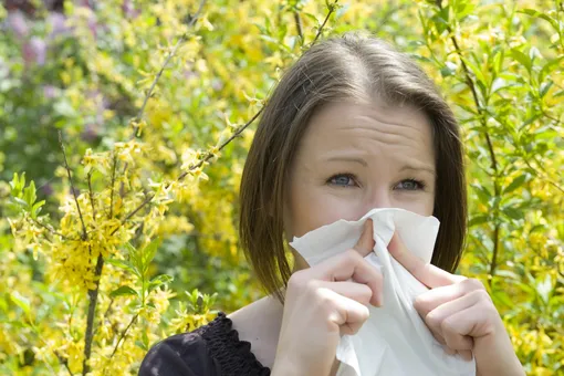Выжить с аллергией: 6 советов, которые облегчат «высокий» сезон