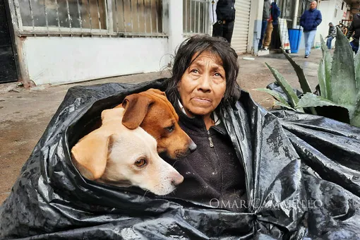«Большое сердце»: бездомная отказалась покидать улицу, чтобы не бросать собак