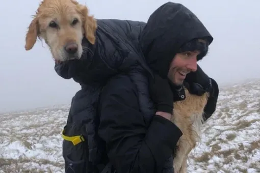 Мужчина на плечах вынес с гор собаку, которая две недели жила без еды и воды