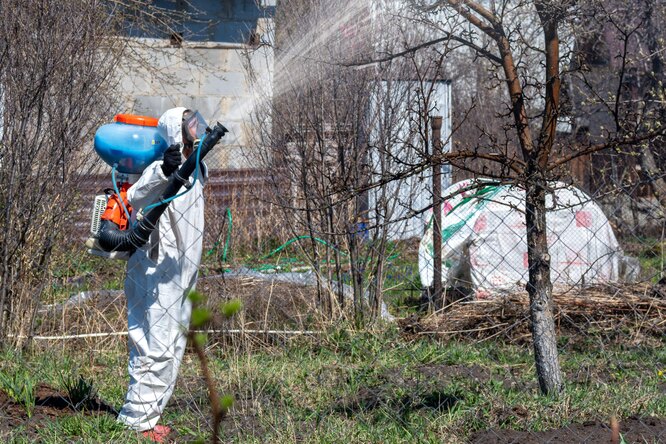 Обработка деревьев и кустарников от болезней и вредителей: препараты ...
