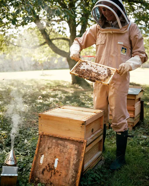 Кейт Миддлтон увлекается пчеловодством