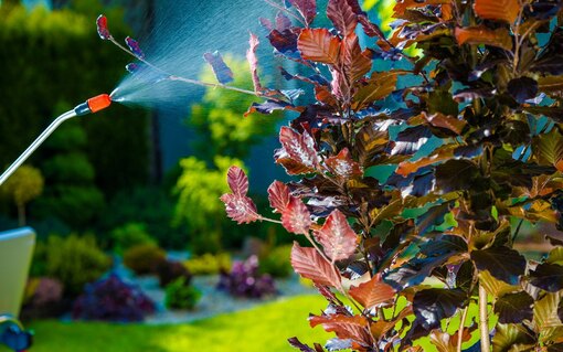 Выбор подходящих удобрений