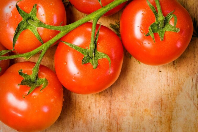 Фитофтороз томатов: не загубите урожай на финишной прямой