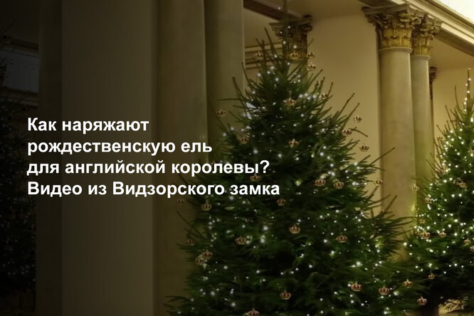 Как наряжают рождественскую ель для английской королевы? Видео из Видзорского замка Как наряжают рождественскую ель для английской королевы? Видео из Видзорского замка