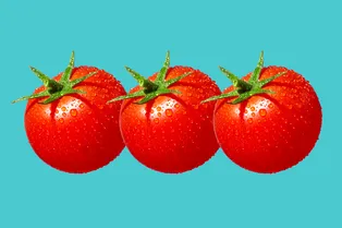 Как правильно поливать помидоры: от этого зависит урожай