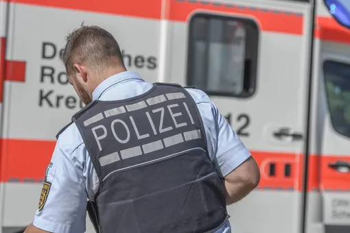 В Германии обнаружена сеть из 30 тысяч педофилов. На сегодня идентифицировано 72 подозреваемых