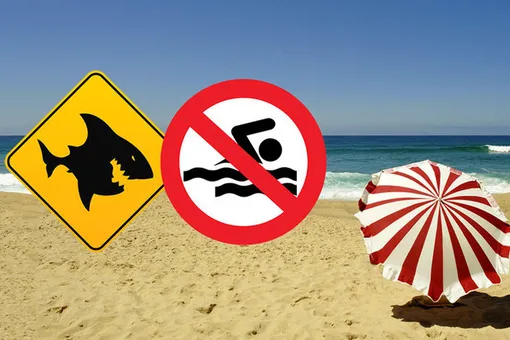Плавать запрещено: 6 признаков того, что купаться в водоеме опасно