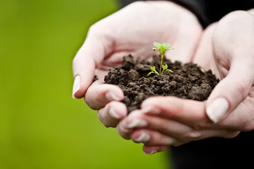 Подготовка почвы для выращивания овощей: как создать идеальную грядку