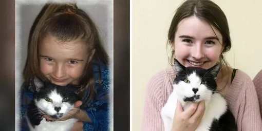 девочка нашла кота через три года