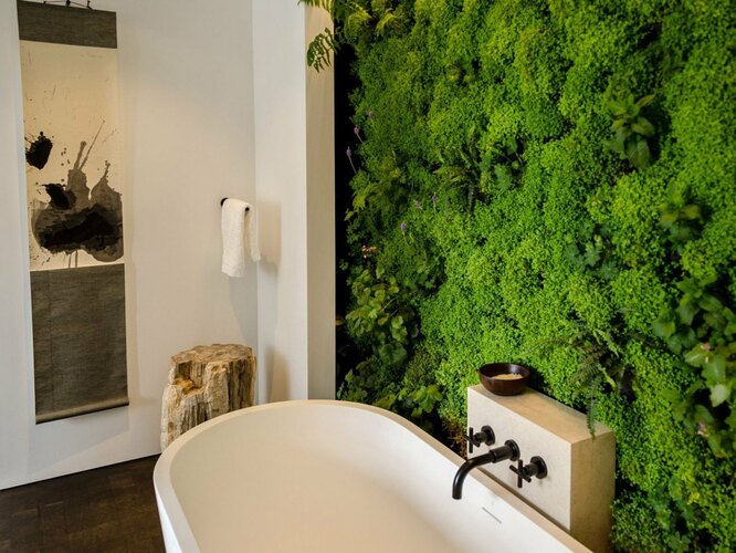 Moss