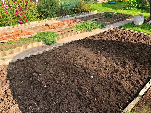 Предварительная подготовка почвы под посадку картофеля