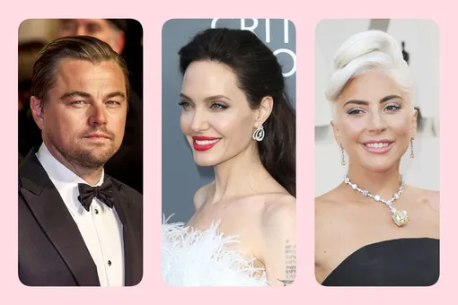 Тест: какие животные названы в честь Джоли, Ди Каприо и других знаменитостей?