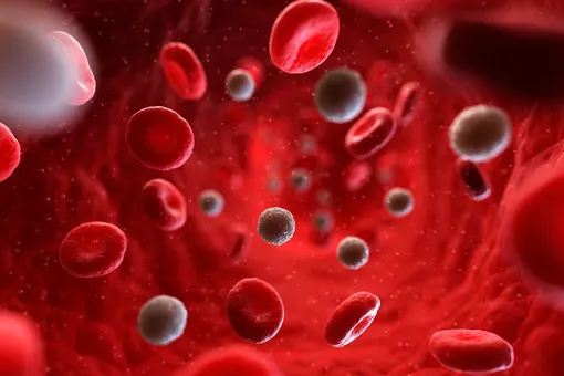 Постаревшая кровь: что такое полицитемия?