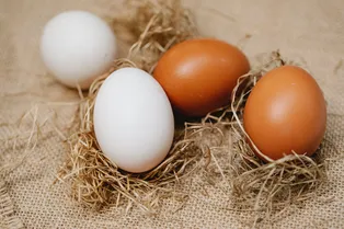 Какая разница между коричневыми и белыми яйцами?