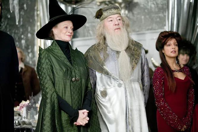 Мэгги Смит в роли профессора Макгонагалл в «Гарри Поттере»