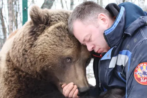 Мужчина дважды спас медвежонка от смерти. И тот отблагодарил его