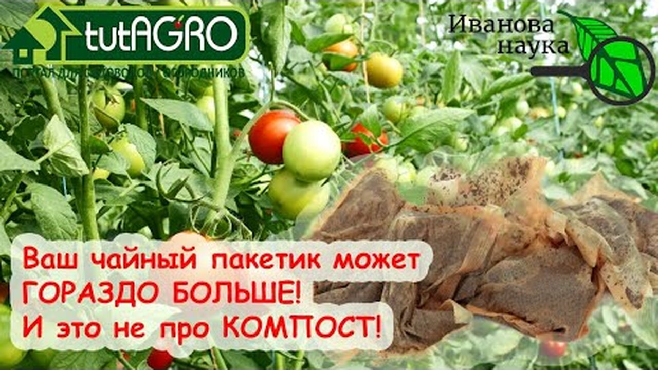 Klikněte a uvidíte