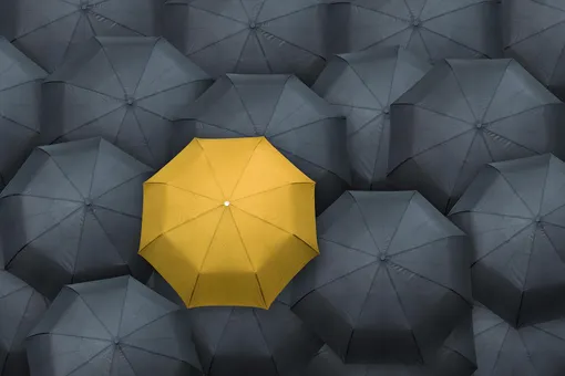 Желтый зонтик среди черных зонтиков цитаты про власть и лидерство