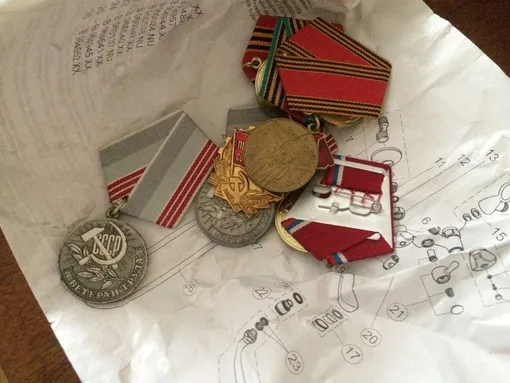 Медали Евгении Алексеевны