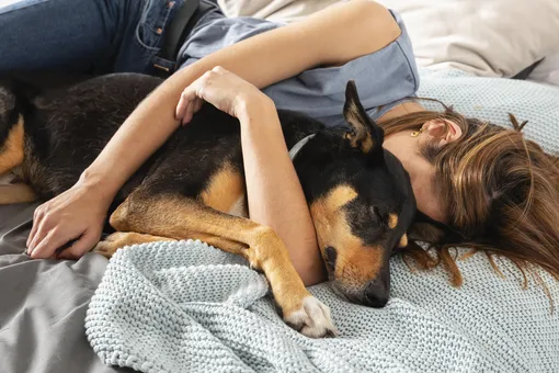 Девушка спит на кровати с собакой