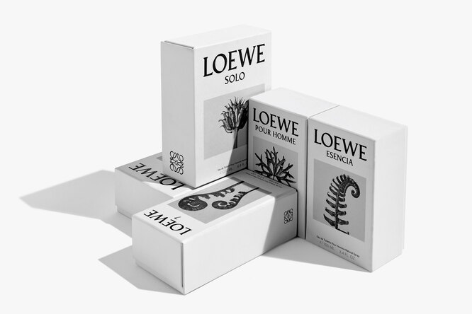 Парфюмерный бренд LOEWE Perfumes представил новую концепцию