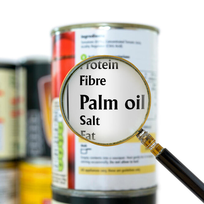 пальмовое масло вред