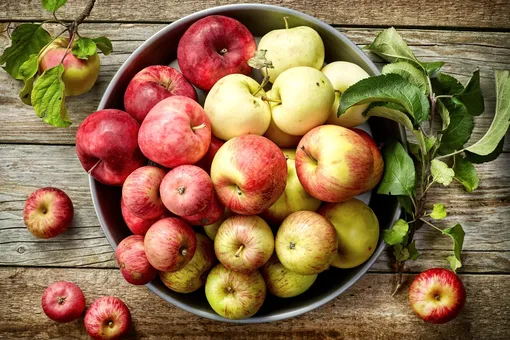 Когда собирать яблоки и как хранить урожай: полезные советы
