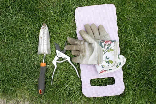 Садовая лопатка, секатор, коврик и перчатки садовода