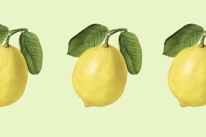 Лимонные корки: 14 необычных применений продукта, который мы обычно выбрасываем Лимонные корки: 14 необычных применений продукта, который мы обычно выбрасываем
