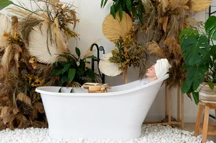 Растения для ванной комнаты: топ-10 самых неприхотливых цветов