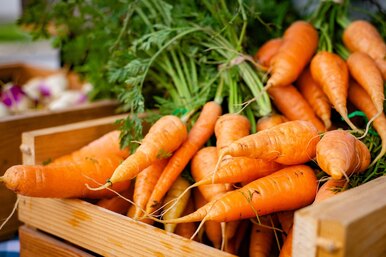 Как вырастить красивую ровную морковь? 7 очень простых секретов