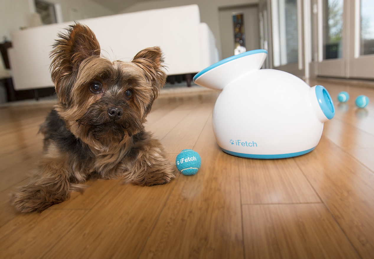 Миски и кормушки