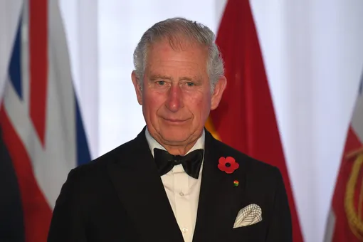 Принц Чарльз в ожидании внука заговорил о проблеме экологии и будущих детях