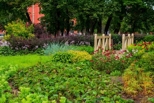 мичуринский сад