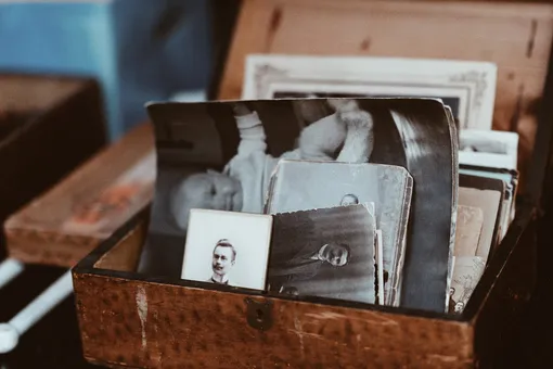 Ящик со старыми фотографиями, родословная