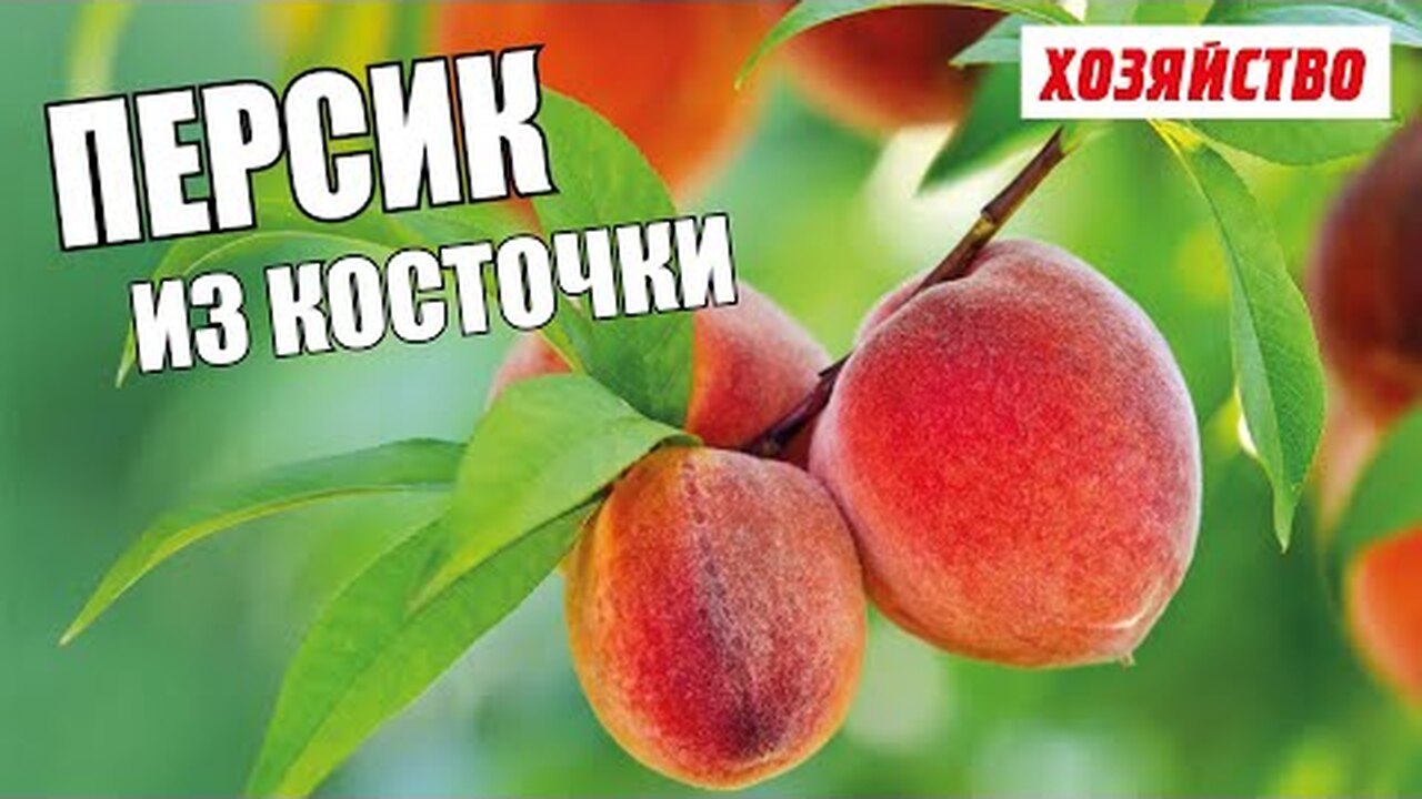Klikněte a uvidíte