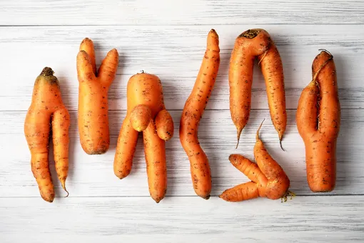 Рогатая морковь: почему корнеплод вырастает уродливым и как этого избежать