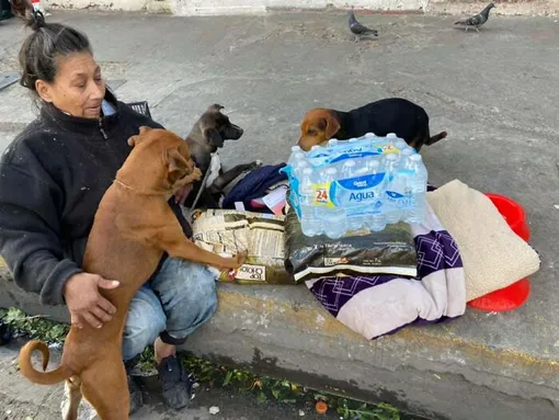 помощь бездомным