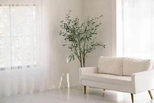 Белая гостиная в минимальном декоре, освещённая естественным светом
