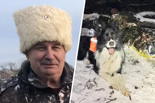 собаки спасли ростовского охотника