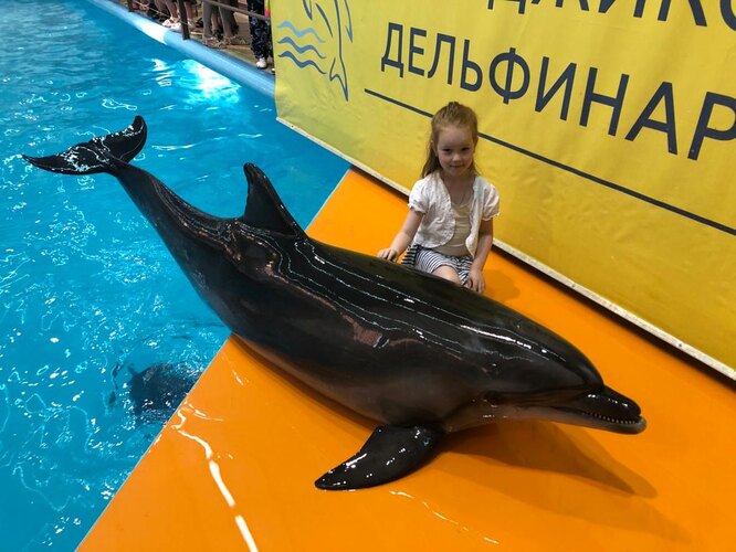 Утришский дельфинарий Утришский дельфинарий