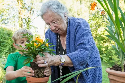 бабушка с внуком пересаживают растение в горшок