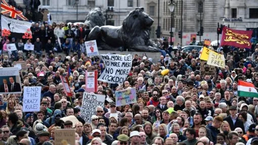 митинг в англии, протест в лондоне
